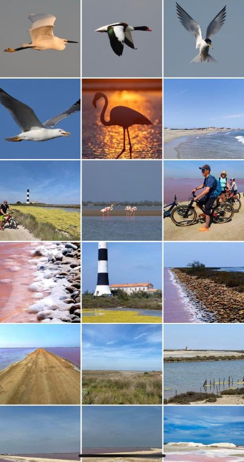 Maebrilu Camargue Provence Panzió Salin-de-Giraud Kültér fotó
