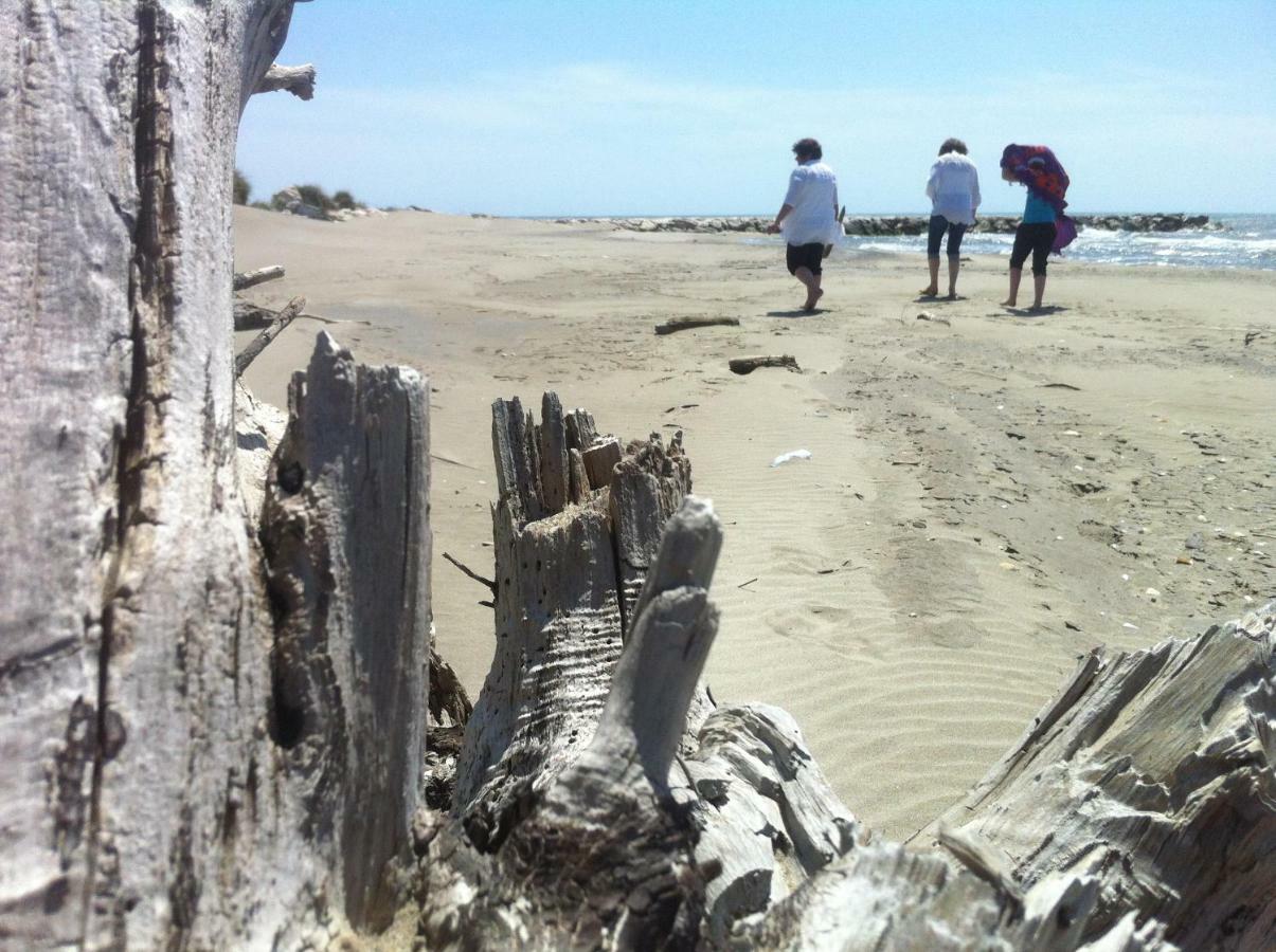 Maebrilu Camargue Provence Panzió Salin-de-Giraud Kültér fotó