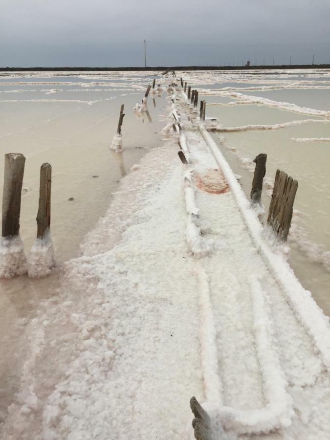 Maebrilu Camargue Provence Panzió Salin-de-Giraud Kültér fotó