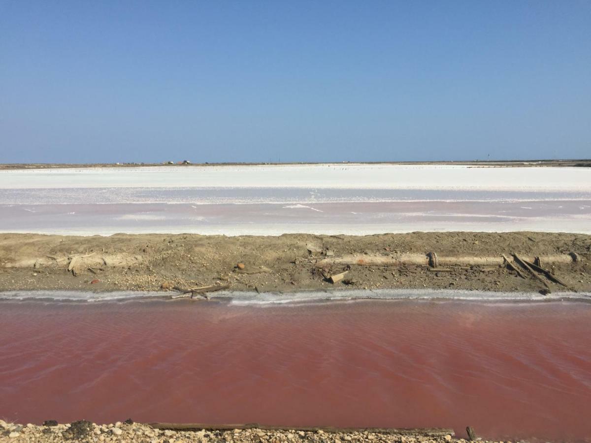 Maebrilu Camargue Provence Panzió Salin-de-Giraud Kültér fotó