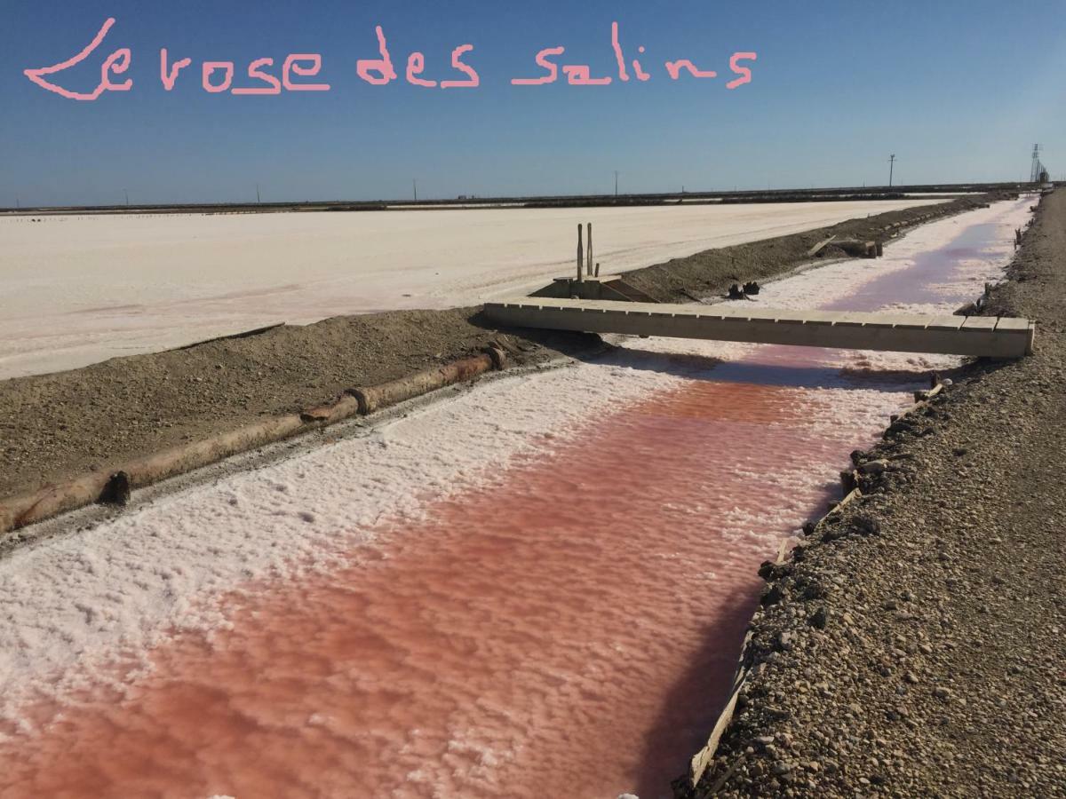 Maebrilu Camargue Provence Panzió Salin-de-Giraud Kültér fotó